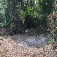 10-029-bedgood-tract