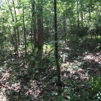 10-029-bedgood-tract images 2