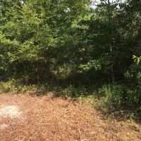 10-029-bedgood-tract images 3
