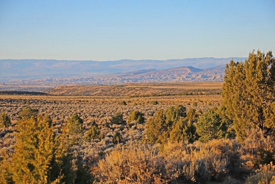 Happy Canyon Ranch featured image
