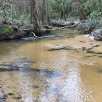 100 Acres Hunting Timberland For Sale South MS