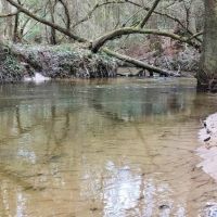 100 Acres Hunting Timberland For Sale South MS images 4