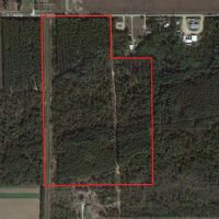 53 Wooded Acres Near the Wisconsin River in Iowa County images 2