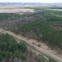 53 Wooded Acres Near the Wisconsin River in Iowa County images 4