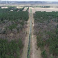 53 Wooded Acres Near the Wisconsin River in Iowa County images 5