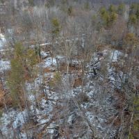 Adams County QDM Hunting land with cabin images 5