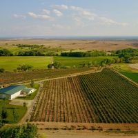 Olathe  Colorado Ranch  Vineyard &nbsp; Winery For Sale