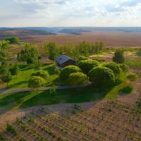Olathe  Colorado Ranch  Vineyard &nbsp; Winery For Sale images 2