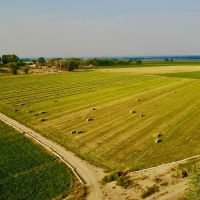 Olathe  Colorado Ranch  Vineyard &nbsp; Winery For Sale images 3