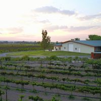 Olathe  Colorado Ranch  Vineyard &nbsp; Winery For Sale images 6