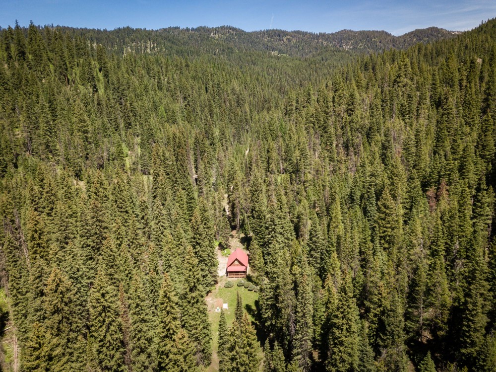 Secluded Off-Grid Mountain Property with Creek  amp  Cabin featured image