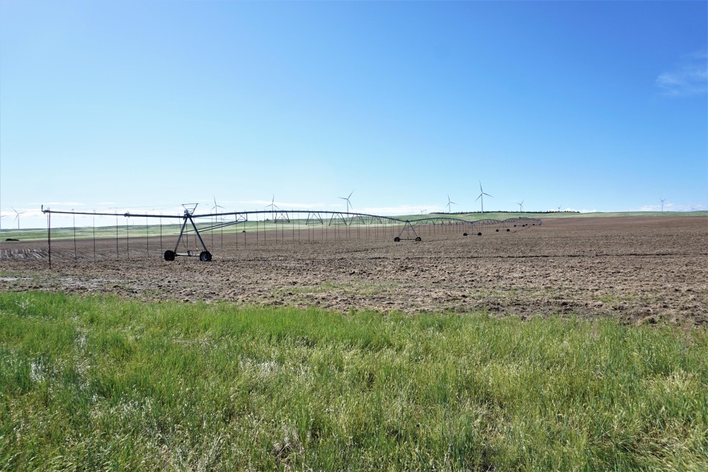 Matheson Irrigated Crop  amp  Pasture featured image