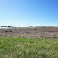 Matheson Irrigated Crop  amp  Pasture