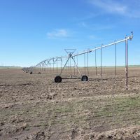 Matheson Irrigated Crop  amp  Pasture images 2