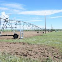 Matheson Irrigated Crop  amp  Pasture images 5