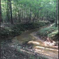 57 Acres in Oktibbeha County in Starkville  MS images 3