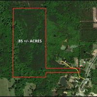 57 Acres in Oktibbeha County in Starkville  MS images 5