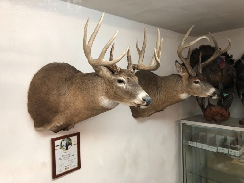 The Unicorn of Hunting Property in Southwest Wisconsin featured image