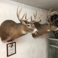 The Unicorn of Hunting Property in Southwest Wisconsin