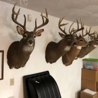 The Unicorn of Hunting Property in Southwest Wisconsin images 5