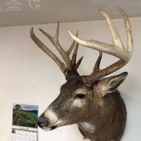 The Unicorn of Hunting Property in Southwest Wisconsin images 6