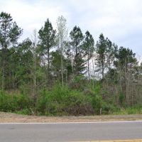 213 Acres in Union County in New Albany  MS images 3