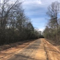 25.38 Acres  Sandy Hook  MS images 2