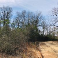 25.38 Acres  Sandy Hook  MS images 6