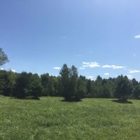 160 acres Hunting Land with Creek Russell NY images 6