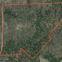 160 acres Hunting Land with Creek Russell NY images 4