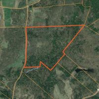 160 acres Hunting Land with Creek Russell NY images 5