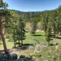 Luxury Mountain Estate For Sale in Livermore  CO images 6