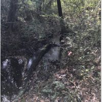 24 Acres in Marion County in Columbia  MS