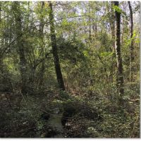 24 Acres in Marion County in Columbia  MS images 4