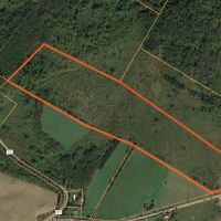 50 acres with Pond and Country views Plainfield NY images 3