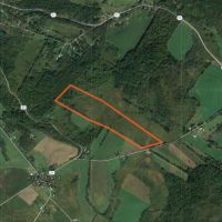 50 acres with Pond and Country views Plainfield NY images 5