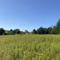 50 acres with Pond and Country views Plainfield NY images 6