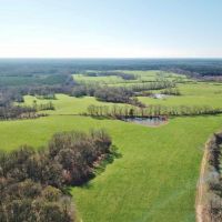 555 Acres Large Pastureland Tract for Sale Amite County MS