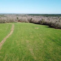 555 Acres Large Pastureland Tract for Sale Amite County MS images 3