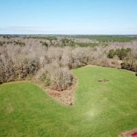 555 Acres Large Pastureland Tract for Sale Amite County MS images 4