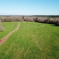 555 Acres Large Pastureland Tract for Sale Amite County MS images 5