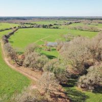 555 Acres Large Pastureland Tract for Sale Amite County MS images 6