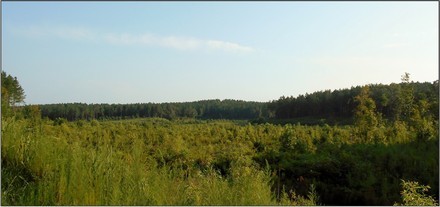 478 Acres in Lafayette County in Oxford  MS featured image