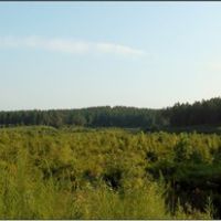 478 Acres in Lafayette County in Oxford  MS