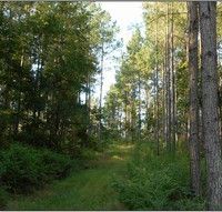 478 Acres in Lafayette County in Oxford  MS images 2