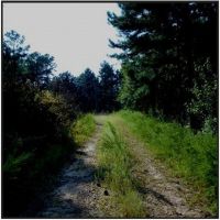 478 Acres in Lafayette County in Oxford  MS images 3