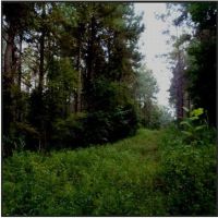 478 Acres in Lafayette County in Oxford  MS images 5