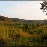 478 Acres in Lafayette County in Oxford  MS images 6