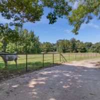 REDUCED &nbsp; LOG CABIN FOR SALE ON 51 ACRES - BENTON  LA images 2