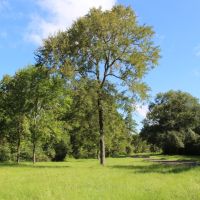 MM Ranch images 3